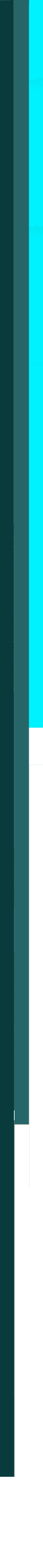 2mobile long 1 scaled 1 1 copy